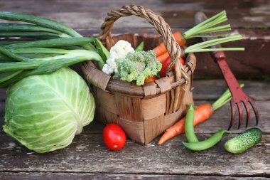 sebze sepeti harvest yılında