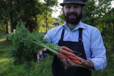havuç hasat bir elinde tutan bahçıvan adam