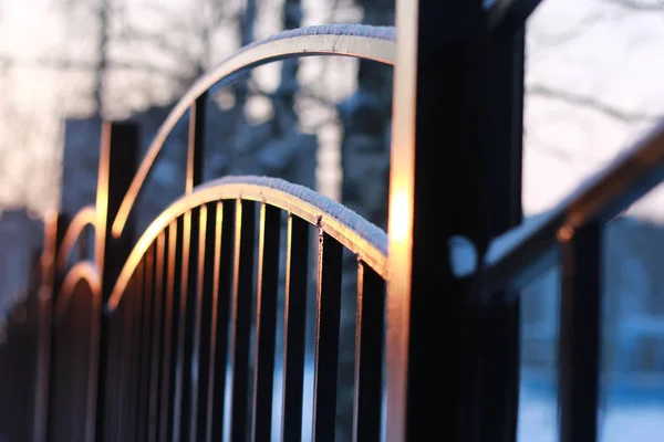 Paysage d'hiver clôture en fer au coucher du soleil — Photo