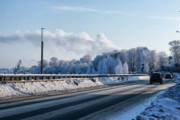 Albero lungo la strada in inverno — Foto Stock