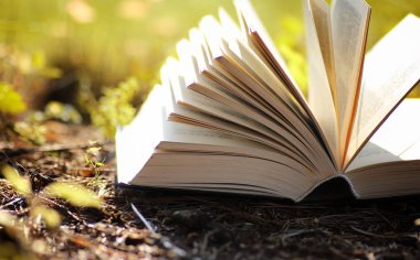 Sarı sonbahar açık kitap