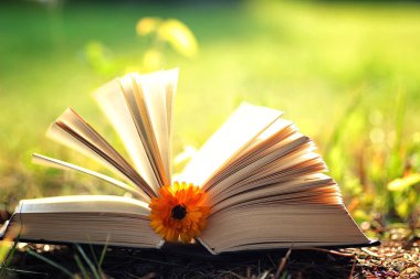 Çimenlerin üzerinde çiçek ile açık kitap