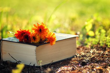 Çimenlerin üzerinde çiçek ile açık kitap