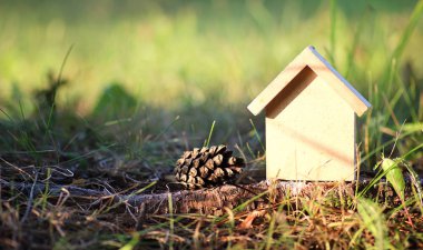 çimenlerin üzerinde evin düzeni