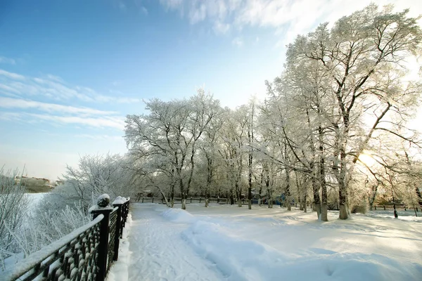 Recinzione coperta neve inverno parco — Foto Stock