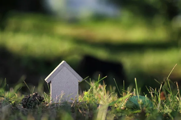 Figure house in nature — Stock Photo, Image