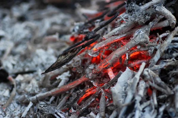 Coal and ash in the fire — Stock Photo, Image
