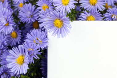 kır çiçekleri buketi Yüzükler