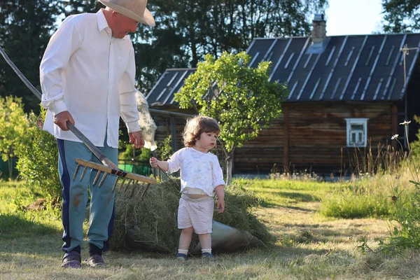 Дитина і дід зібрали сіно — стокове фото