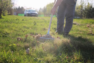 eski ot toplamak için Tırmıklar