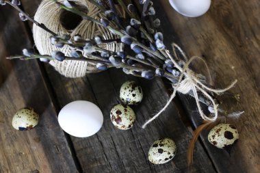 Bahar yumurta dal willow ahşap arka plan