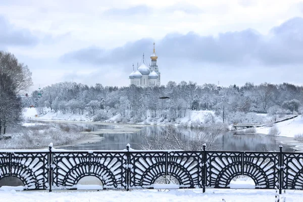 Nieve de invierno en cúpula de la ciudad árbol —  Fotos de Stock