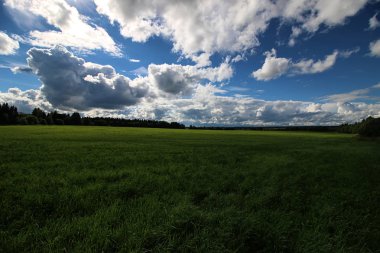 Peyzaj çayır gökyüzü bulut