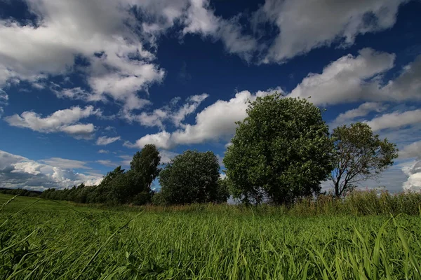 Lanscape łąka niebo chmura — Zdjęcie stockowe