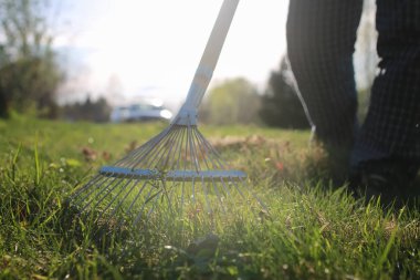 eski ot toplamak için Tırmıklar