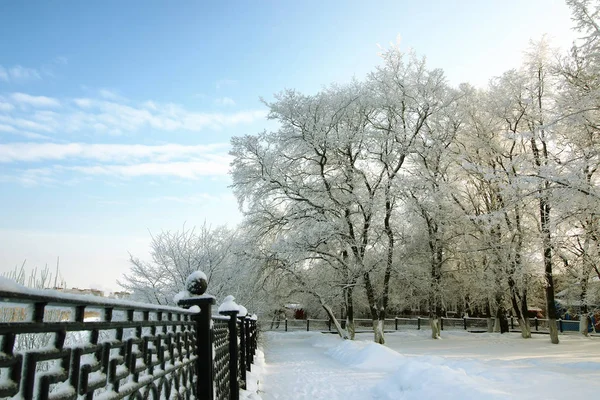 Cerca coberta neve parque de inverno — Fotografia de Stock