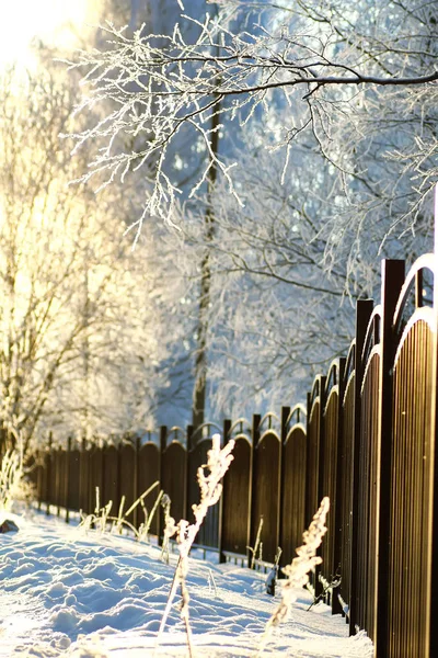 Fence covered snow winter park — Stock Photo, Image