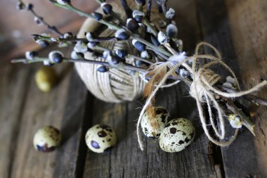 Bahar yumurta dal willow ahşap arka plan