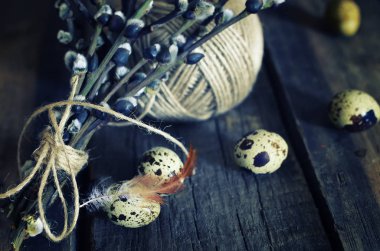 Bahar yumurta dal willow ahşap arka plan