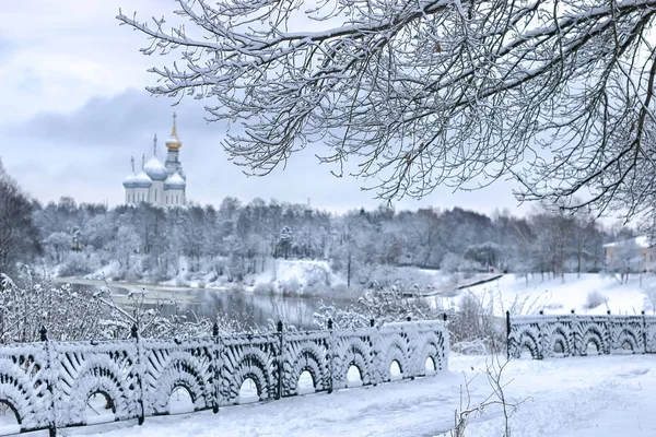 Зимний снег на куполе города деревьев — стоковое фото