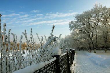 çit kapalı kar kış parkı