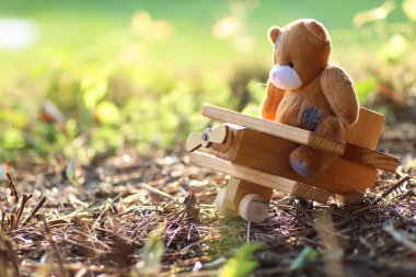 yerde yalnız oyuncak