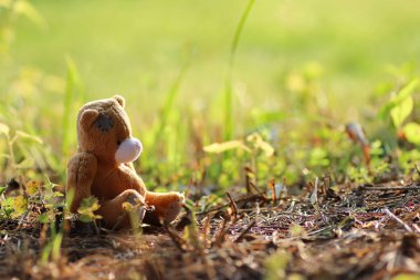 yerde yalnız oyuncak