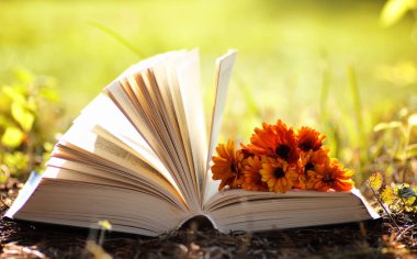 Sarı sonbahar açık kitap