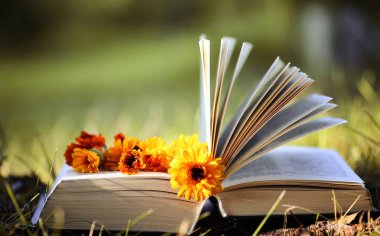 Sarı sonbahar açık kitap