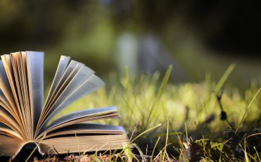 Sarı sonbahar açık kitap