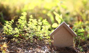 çimenlerin üzerinde evin düzeni