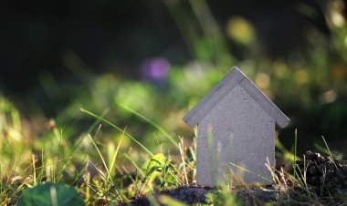 çimenlerin üzerinde evin düzeni