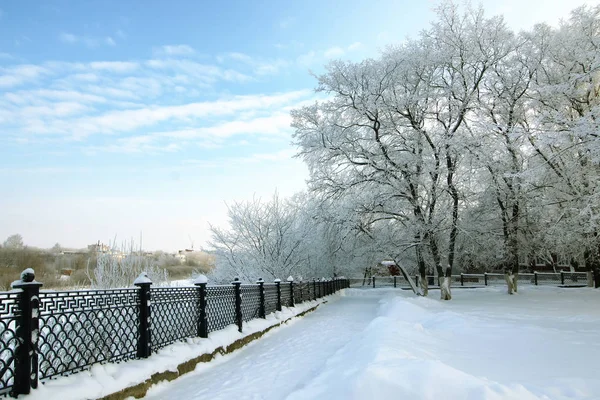 Płot pokryte śniegiem zima park — Zdjęcie stockowe