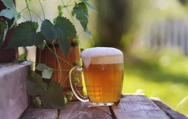 Glas bier houten hop natuur — Stockfoto