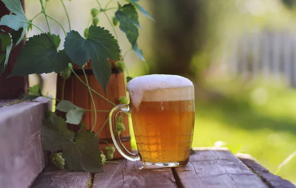 Vaso de cerveza naturaleza de madera lúpulo — Foto de Stock