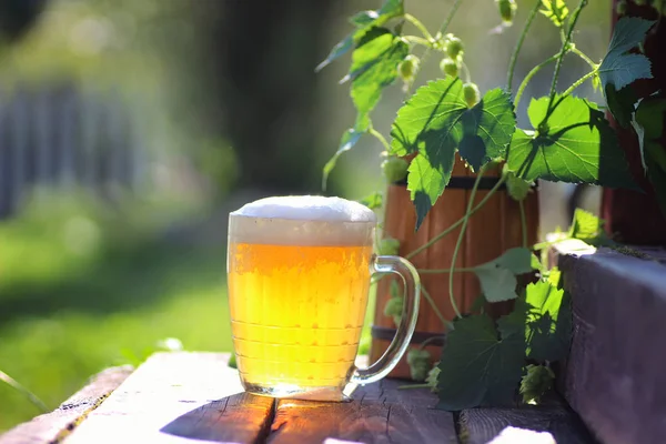 Cerveja vidro de madeira hop ao ar livre — Fotografia de Stock