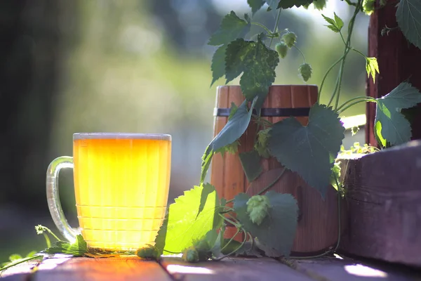 Vetro di birra luppolo di legno all'aperto — Foto Stock