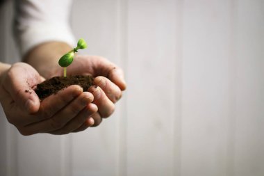 Avuçlarda filizlenen bahçıvan eli.