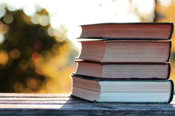 Outono pilha livro de madeira ao ar livre — Fotografia de Stock