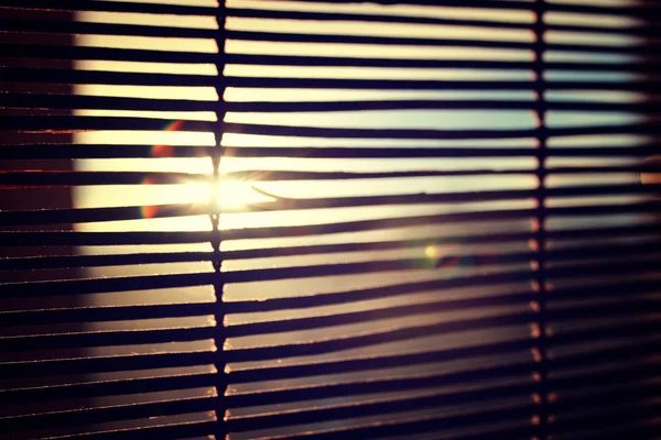 ブラインドを通して輝く太陽 — ストック写真