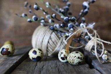 Bahar yumurta dal willow ahşap arka plan