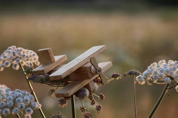 Деревянный игрушечный самолет — стоковое фото