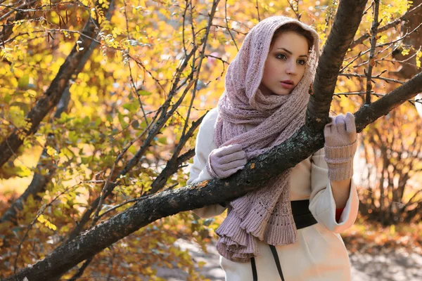 Girl in a park wear a scarf autumn — Stock Photo, Image