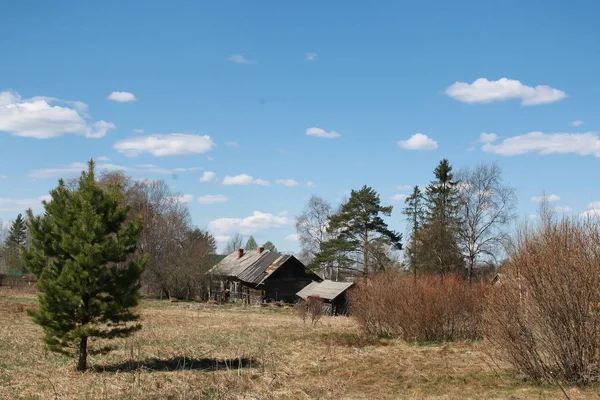 Landsbygdens rusttic staket — Stockfoto