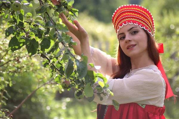 Slaviska i folkdräkt samlar in skörden av äpplen — Stockfoto