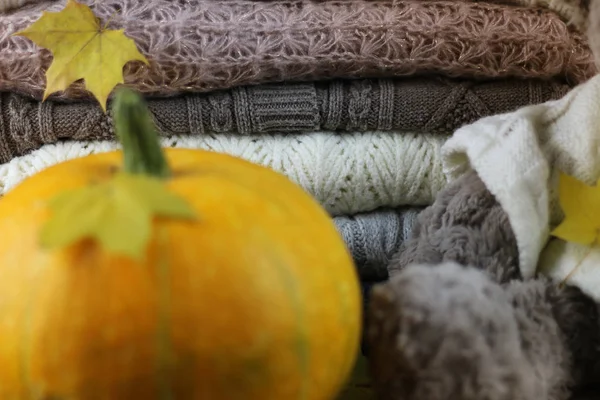 Sonbahar konsepti yığın kazak örme