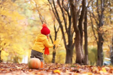 Kabak ile sonbahar Park çocuk