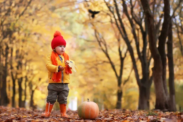 Enfant dans le parc d'automne avec citrouille — Photo