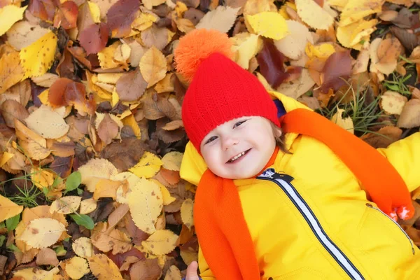 Дитина восени кладе в листя — стокове фото