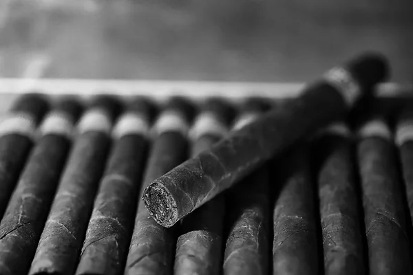 Monochrome photo of large wooden box of cigars handmade Cuban — Stock Photo, Image